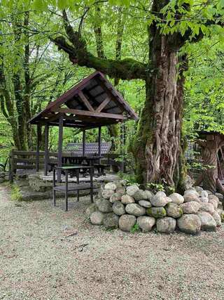 Гостевой дом Псахо Адлер Двухместный номер-6